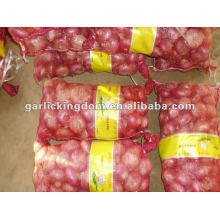 Chinese Fresh Red and Yellow Onion Exporter